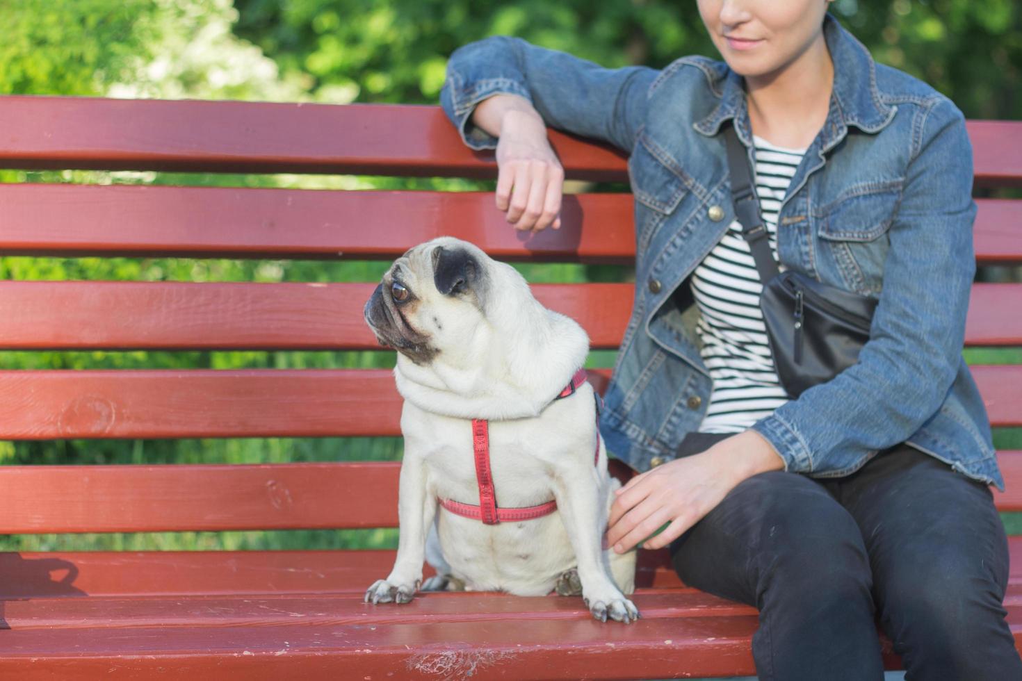 Porträt der jungen Frau mit Mops im Park foto