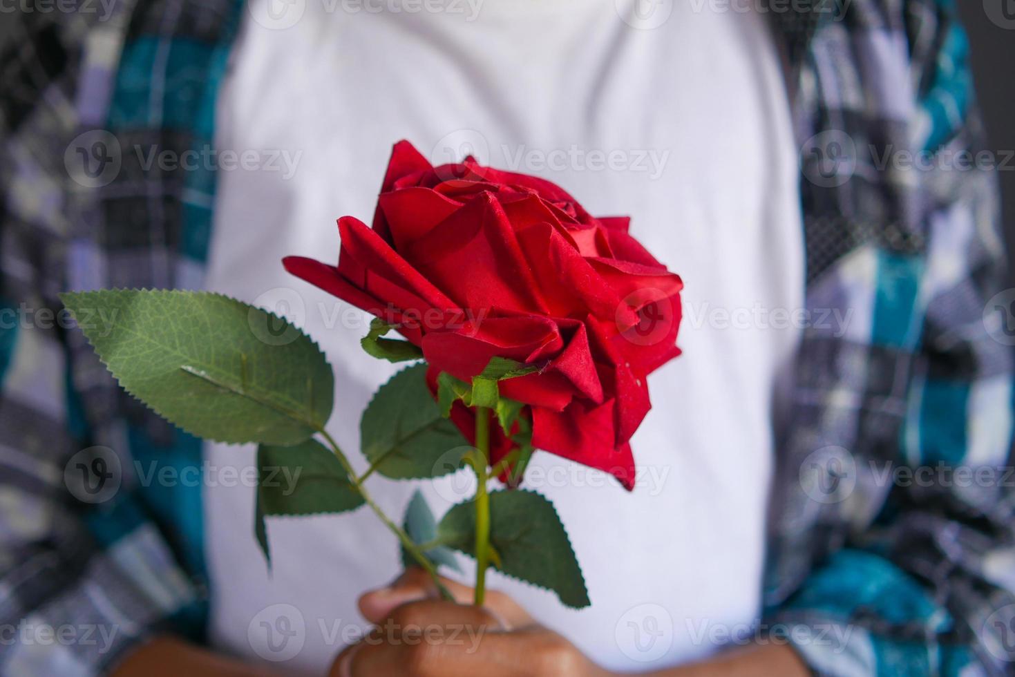 Unerkannte Mannhand hält Rosenblüte und Geschenkbox aus nächster Nähe foto