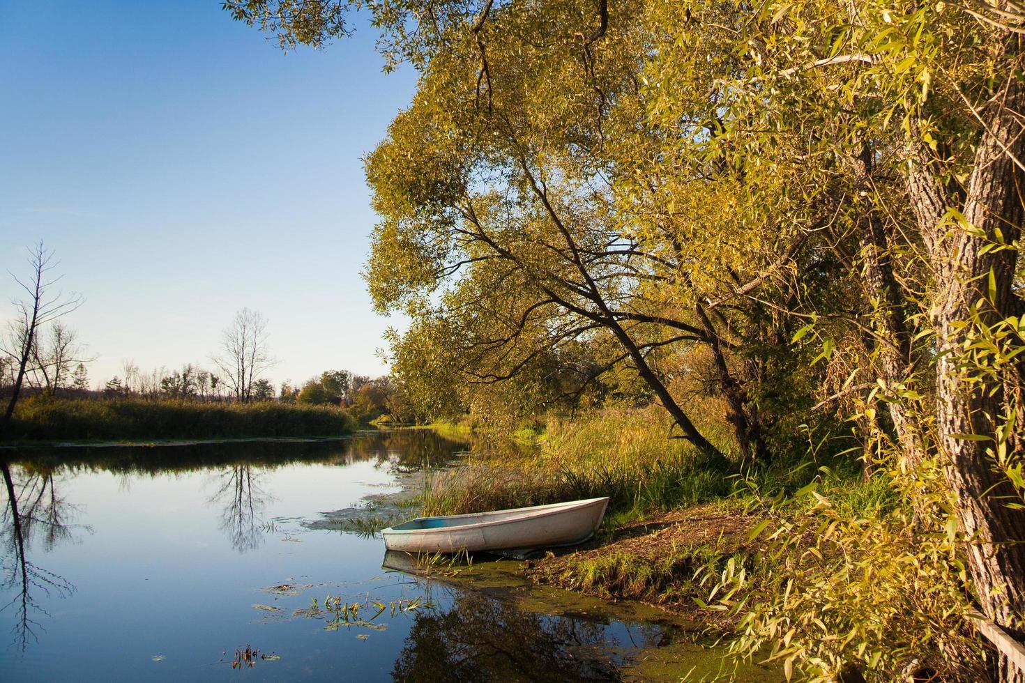 Sommer Flusslandschaft foto