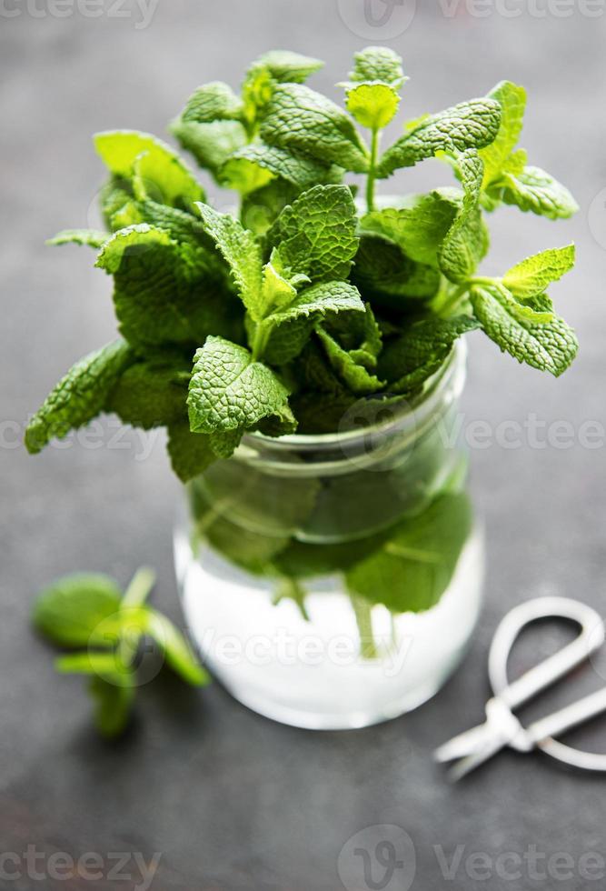 frische Minzblätter in einem kleinen Glas foto