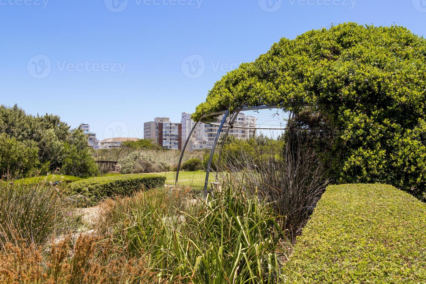 Gut gepflegter Green Point Park in Kapstadt, Südafrika. foto