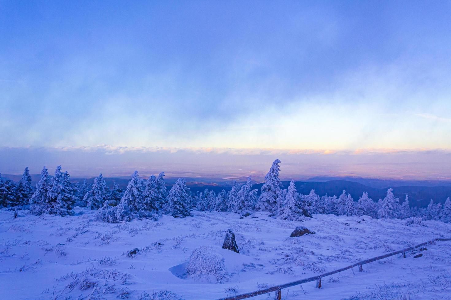 sonnenuntergang waldlandschaft panorama eisige tannen brocken berg deutschland. foto