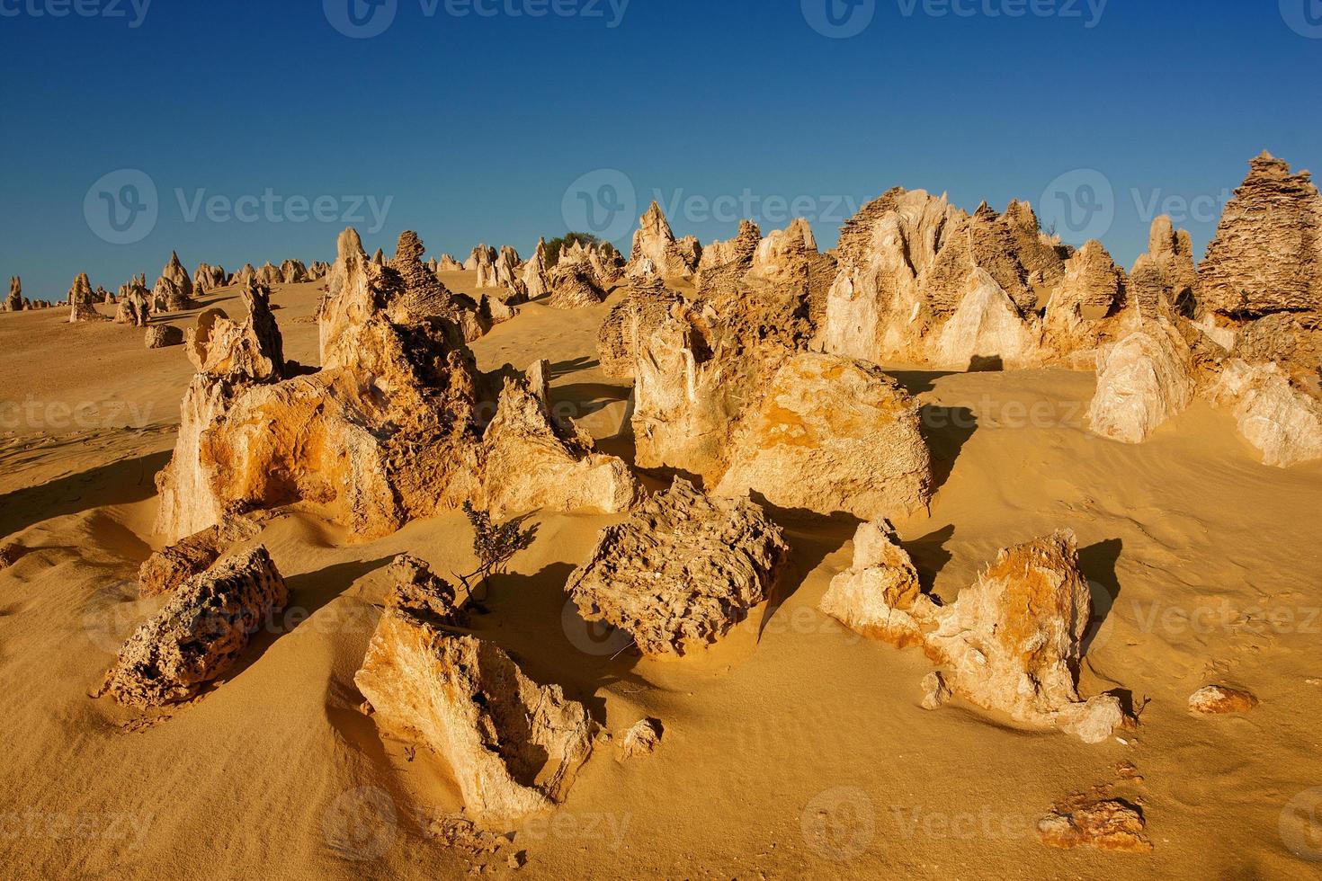 die gipfel des nambung nationalparks sind erstaunliche natürliche kalksteinstrukturen, von denen einige bis zu fünf meter hoch sind. West-Australien. foto