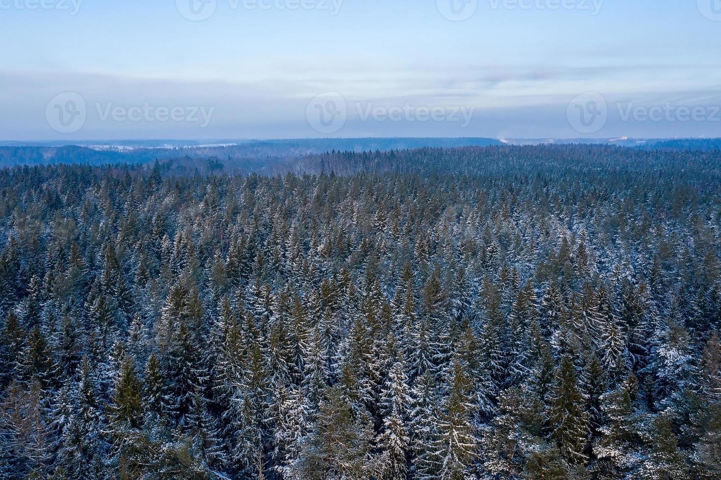 Luftaufnahme eines verschneiten Kiefernwaldes im Winter. Winterwald Textur. Luftaufnahme. Luftdrohnenansicht einer Winterlandschaft. schneebedeckter Wald. Luftaufnahmen foto