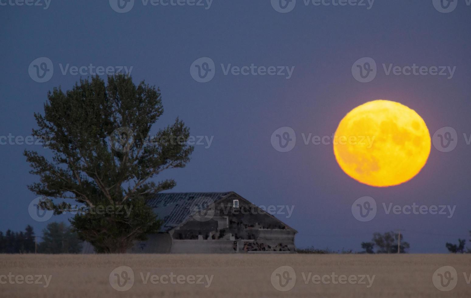 Prärie Vollmond foto