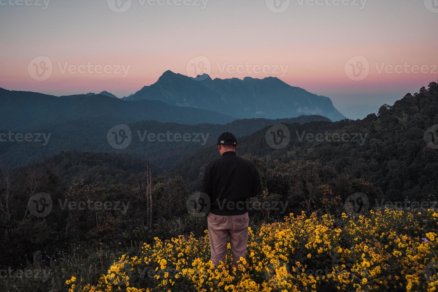 Bergblick und gelbe Blumen am Abend foto