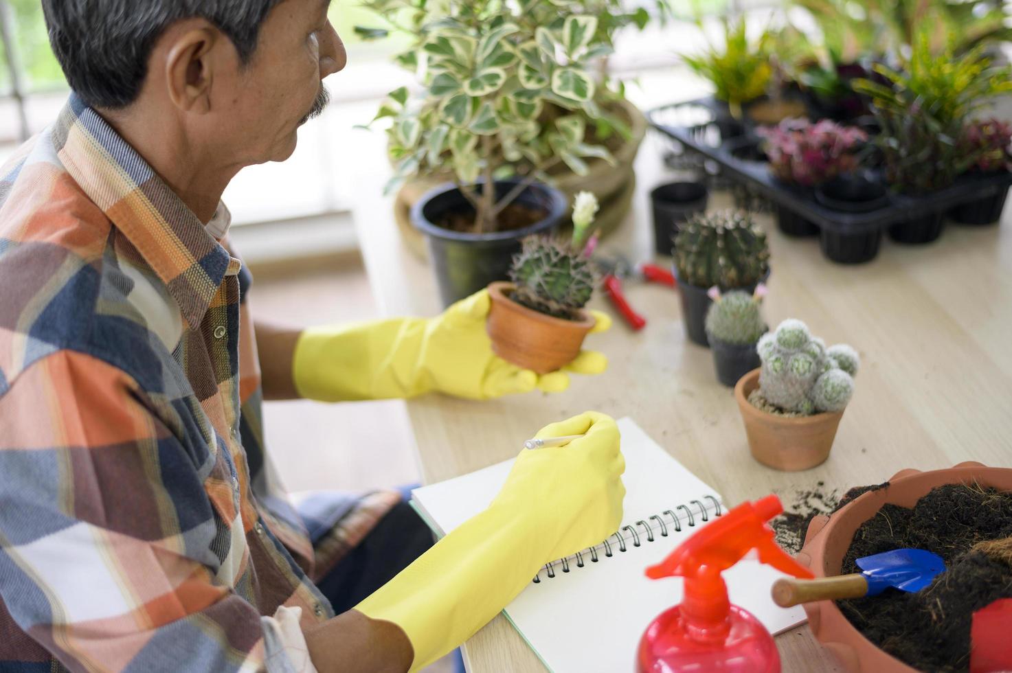 glücklicher älterer asiatischer pensionierter mann, der zu hause daten über kakteen im garten sammelt. foto