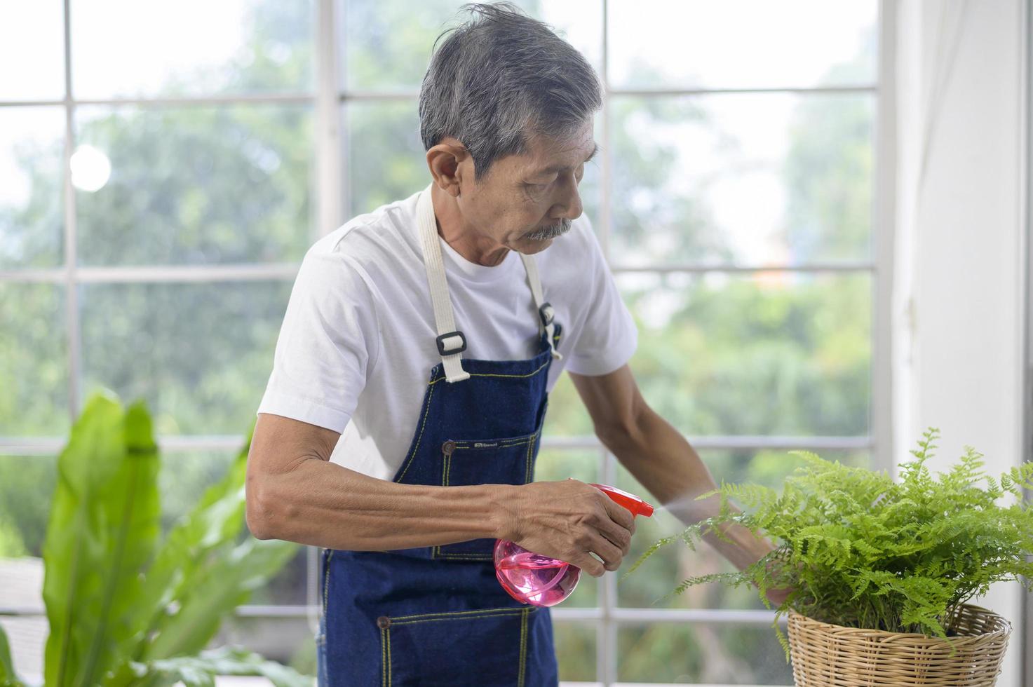 glücklicher älterer asiatischer pensionierter mann, der baum sprüht und wässert, genießt Freizeitbeschäftigung zu hause foto