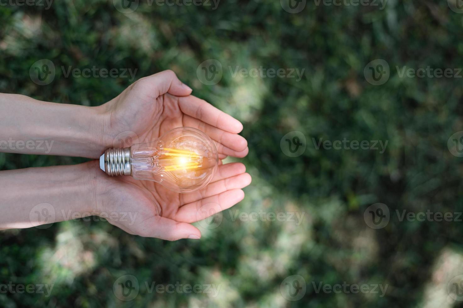 Hand, die Glühbirne mit grünem Hintergrund hält. Idee Sonnenenergie in der Natur foto