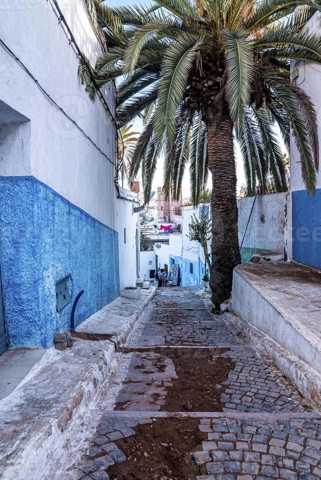 schmale Gasse mit beschädigtem Fußweg und Palme inmitten weißer und blauer Wände foto