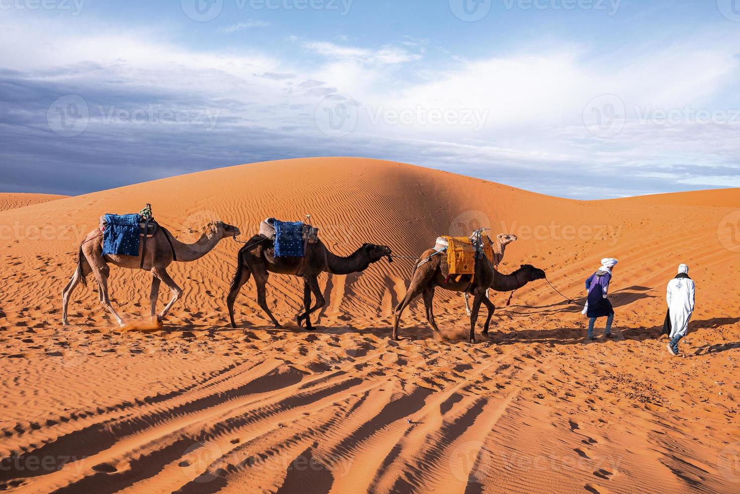 Beduinen in traditioneller Kleidung, die Kamele durch den Sand in der Wüste führen foto