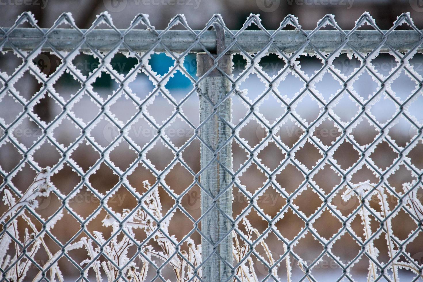 Winterfrost Saskatchewan foto