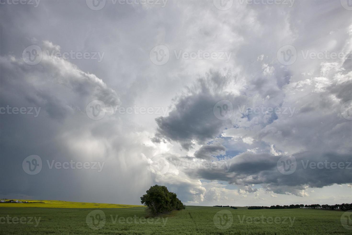 Präriegewitterwolken Kanada foto