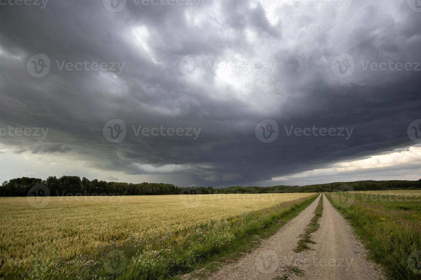 Präriegewitterwolken Kanada foto