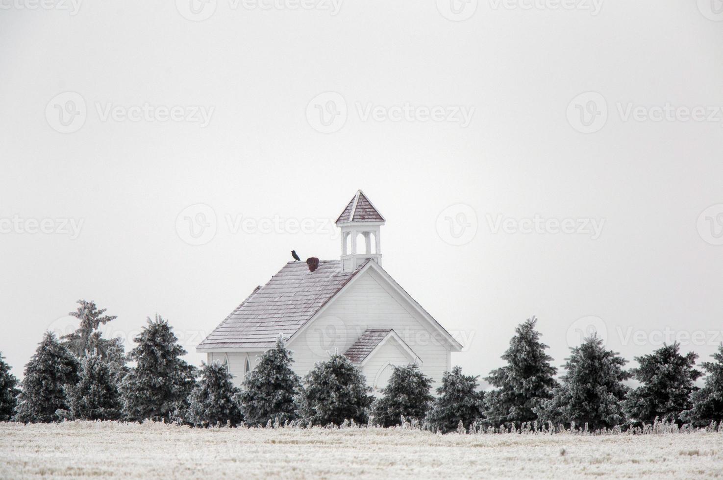 Winterfrost Saskatchewan foto