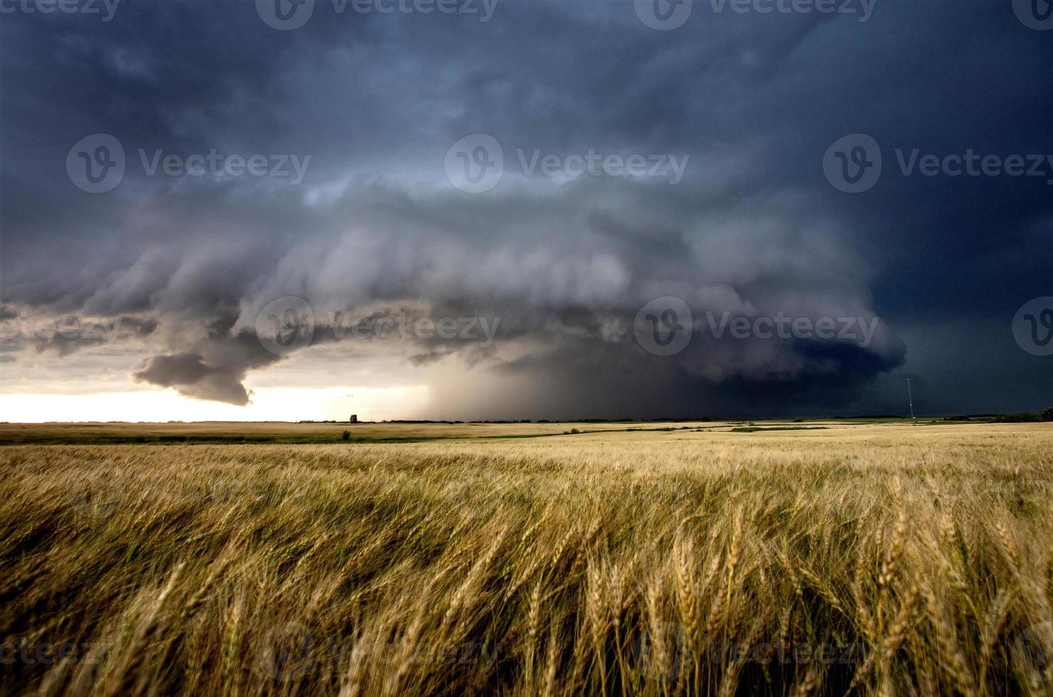 Präriegewitterwolken Kanada foto