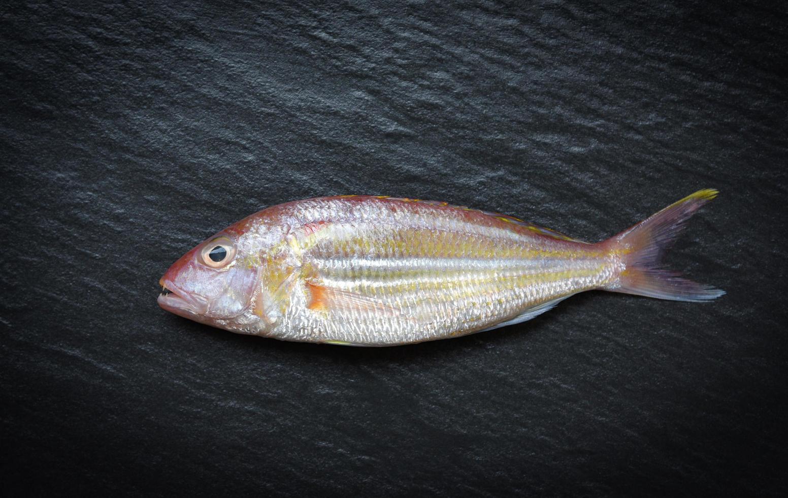 frischer roher Fisch auf dunklem Hintergrund Meeresfrüchte Fisch Ozean Gourmet für Koch im Restaurant foto