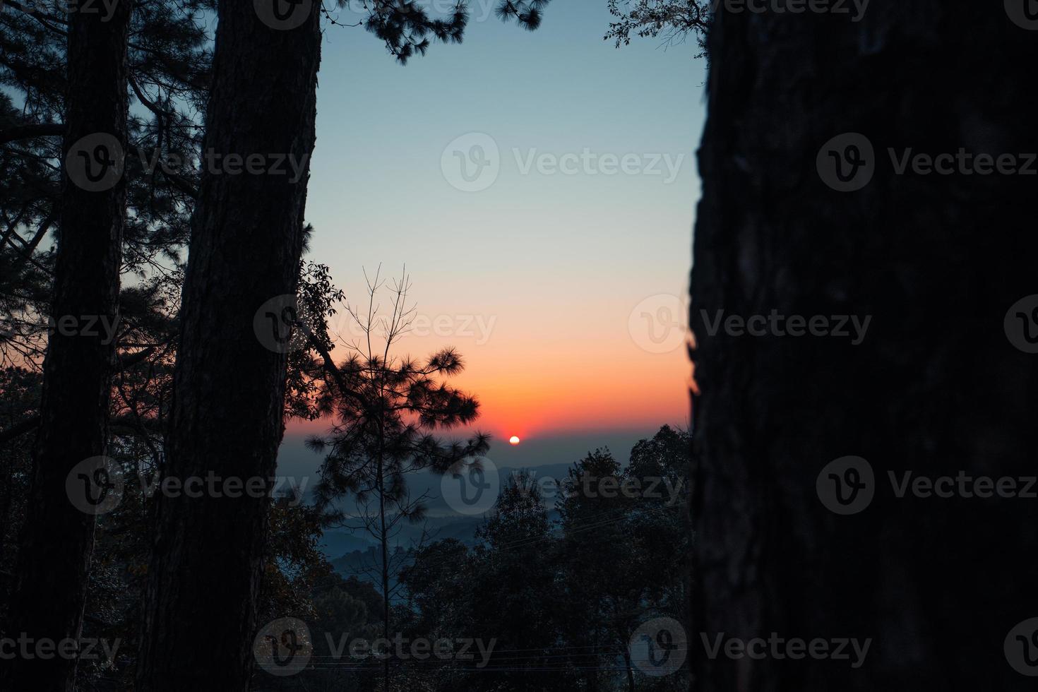 Sonnenaufgang am frühen Morgen im Wald foto