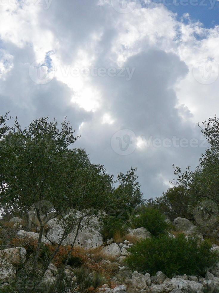 puig de sa morisca archäologischer park maurischer gipfel auf mallorca foto