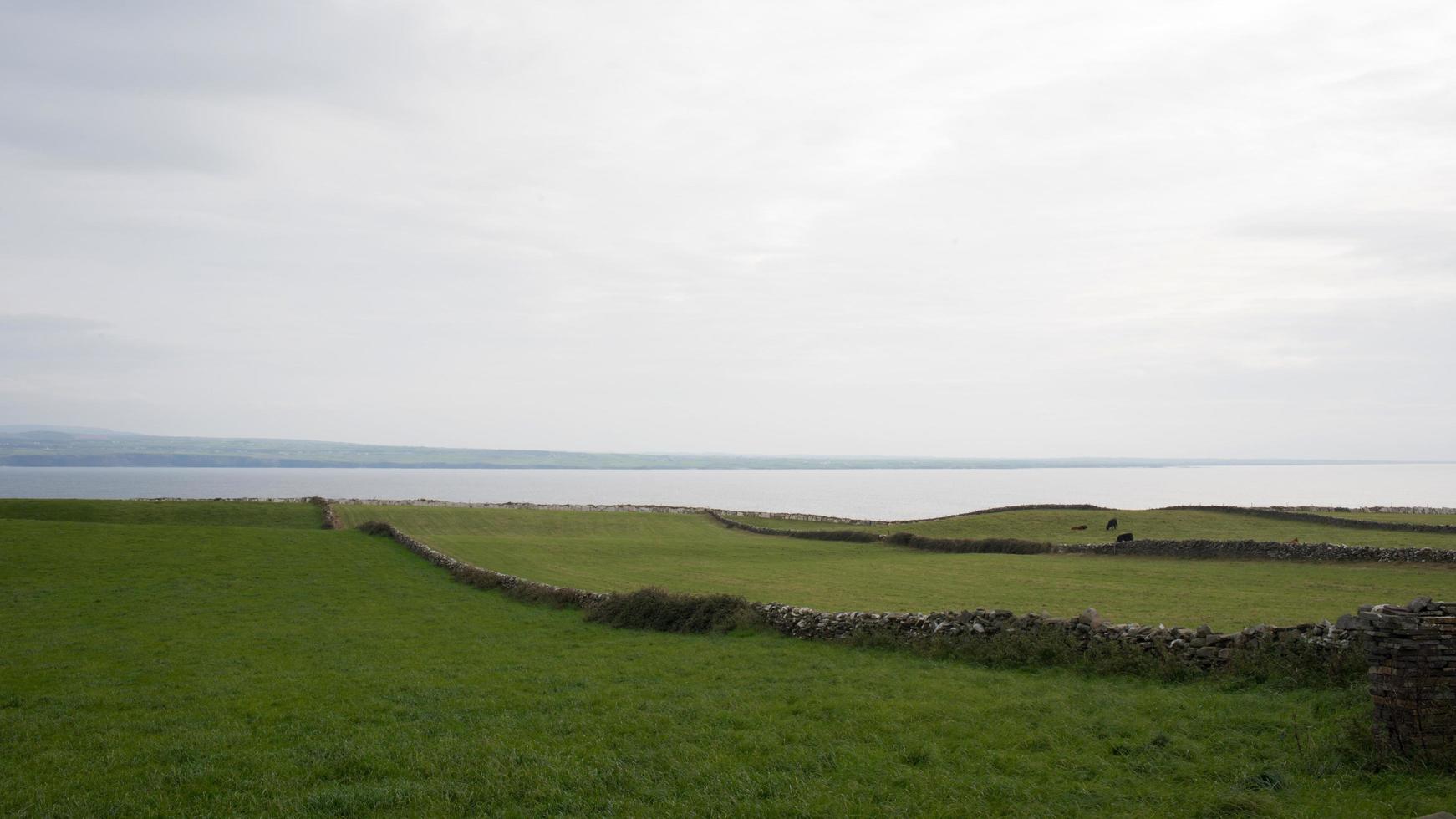 wunderschöne grüne Felder entlang der Atlantikküste. Irland foto