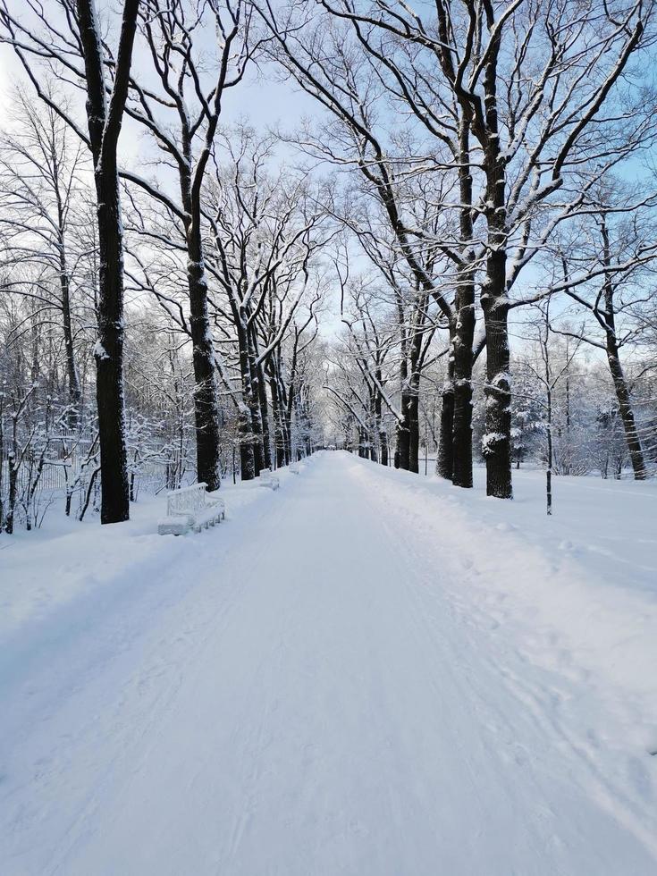 Catherine Park in Puschkin an einem Wintertag foto