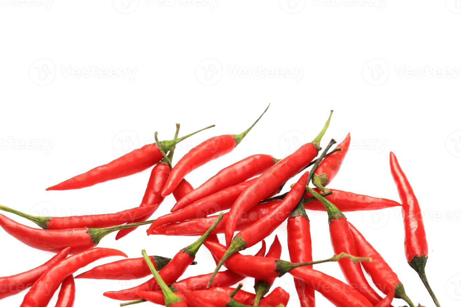 roter Chili auf weißem Hintergrund foto