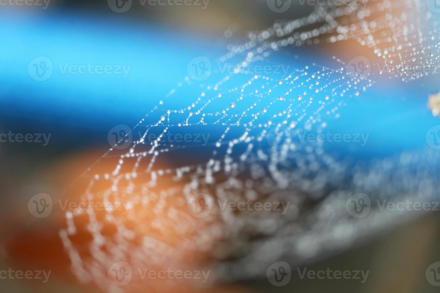 verschwommenes abstraktes Spinnennetz oder Spinnennetz natürlich mit Regentropfen auf der Linie gegen die Sonne foto