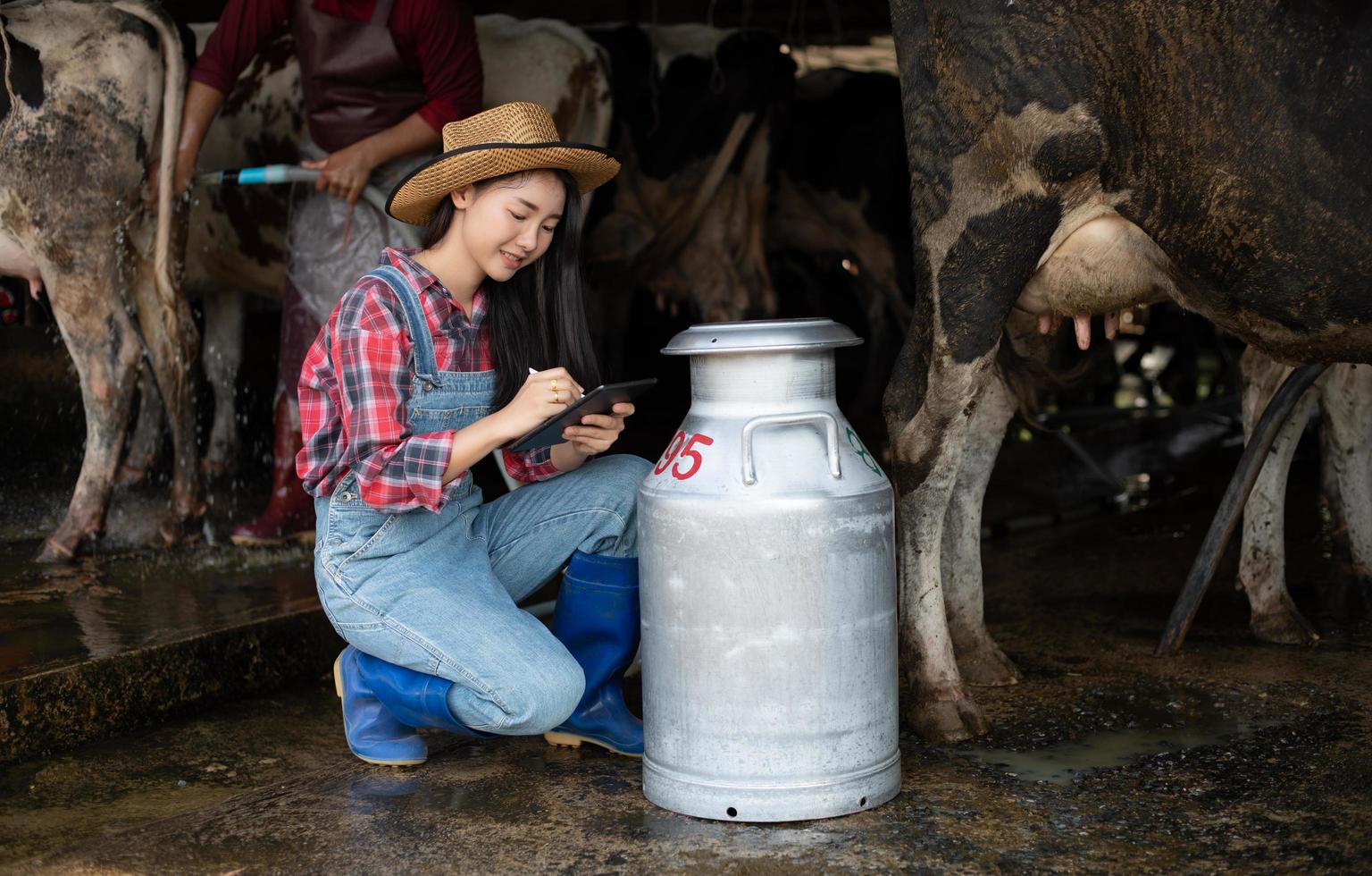 asiatische frauen landwirtschaft und landwirtschaftsindustrie und tierhaltungskonzept - junge frauen oder bäuerinnen mit tablet-pc-computer und kühe im kuhstall auf milchbauernhof mit kuhmelkmaschinen foto