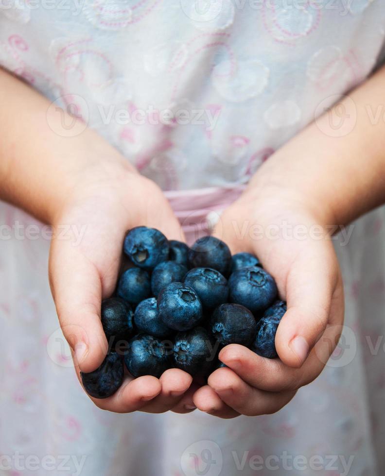 Kinderhände mit Heidelbeeren foto