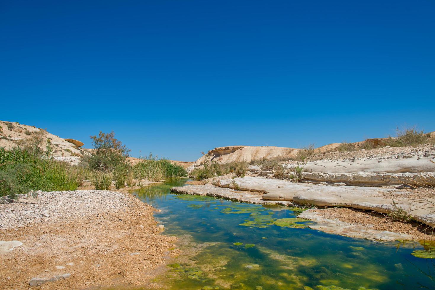 Wasser in der Wüste Negev, Israel foto