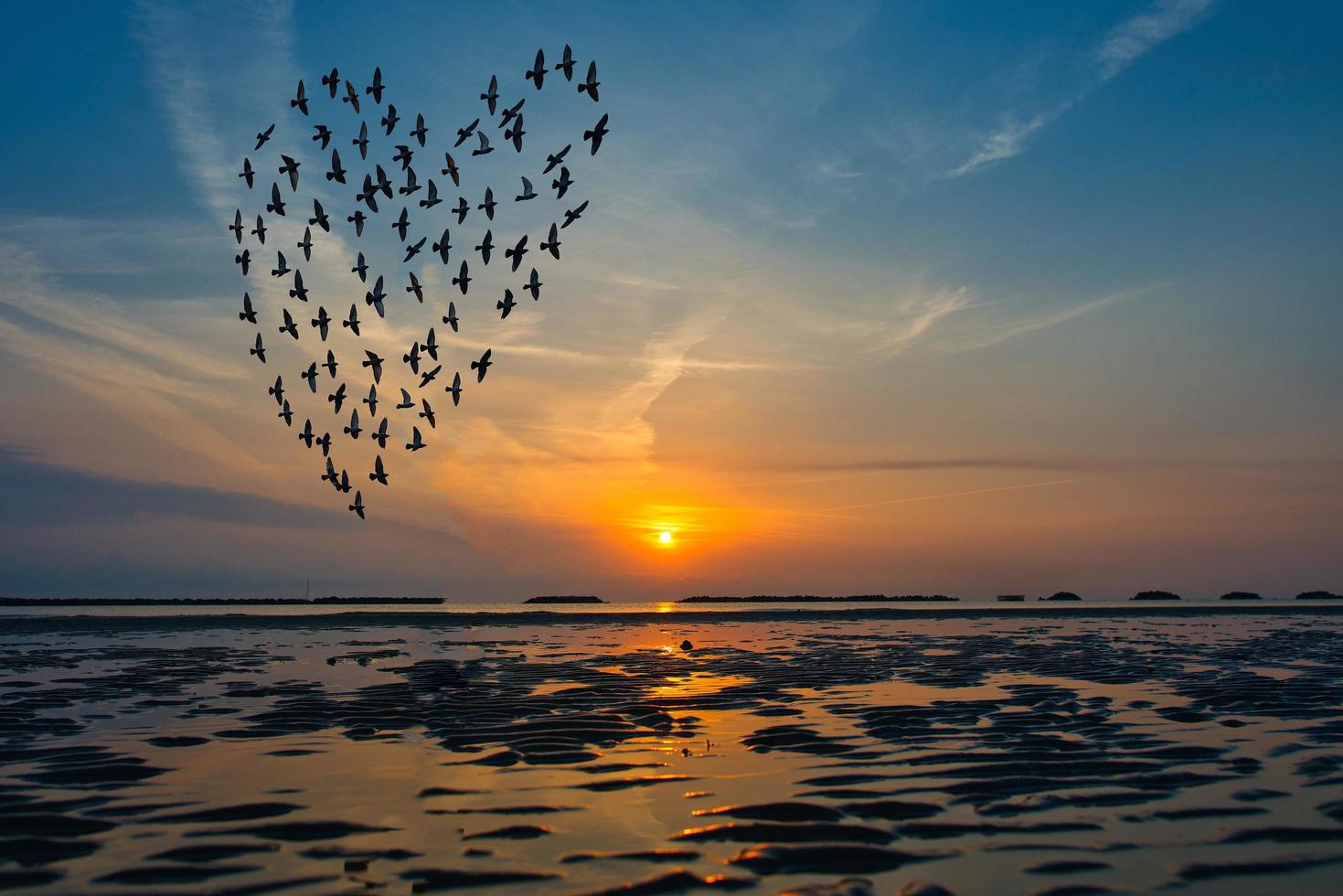 Vogelsilhouetten, die über dem Meer gegen Sonnenaufgang in Form von Herzen fliegen foto