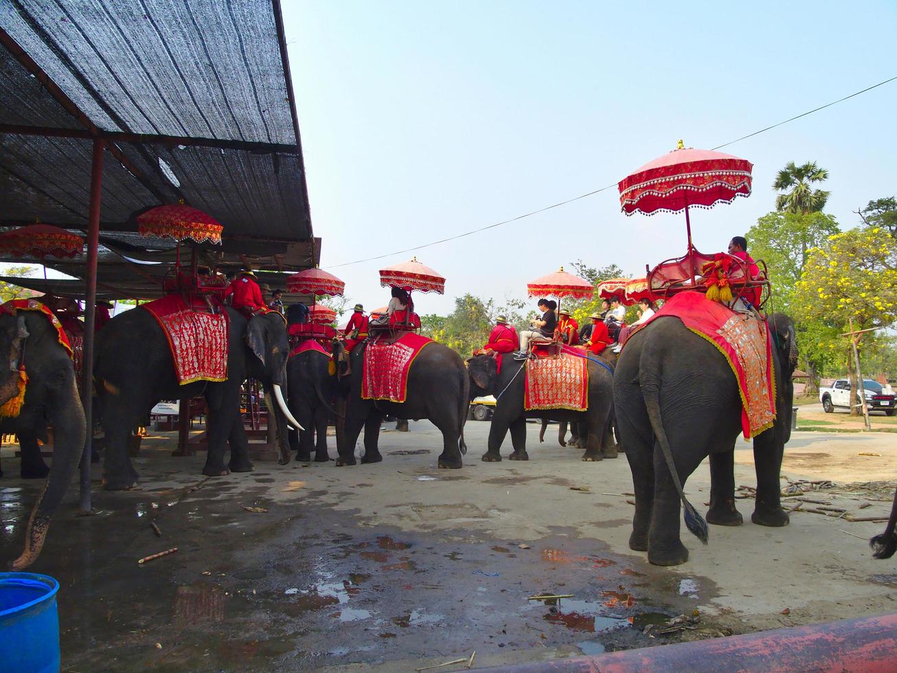 Ayutthaya Thailand28. Februar 2019Ayutthaya Elephant Palace Royal Kraal.on Ayutthaya Thailand28. Februar 2019. foto