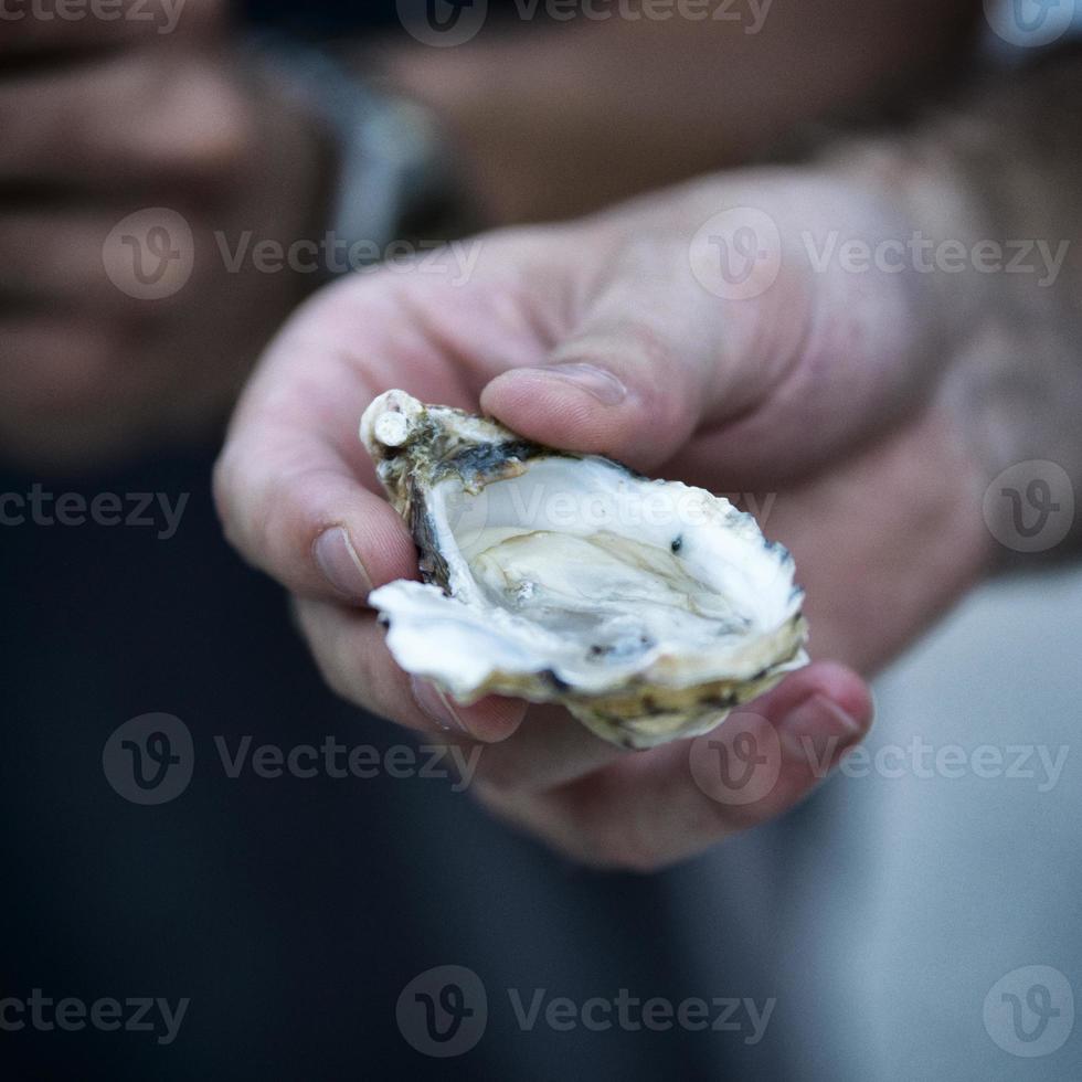 offene Auster in der Hand foto