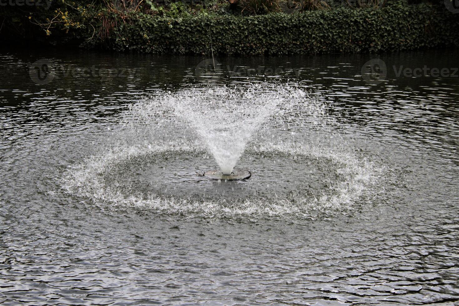 ein Vogel fliegend Über ein Brunnen im ein Teich foto