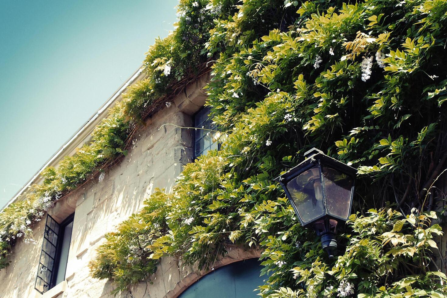 grüne Wand an der Außenseite des Gebäudes foto