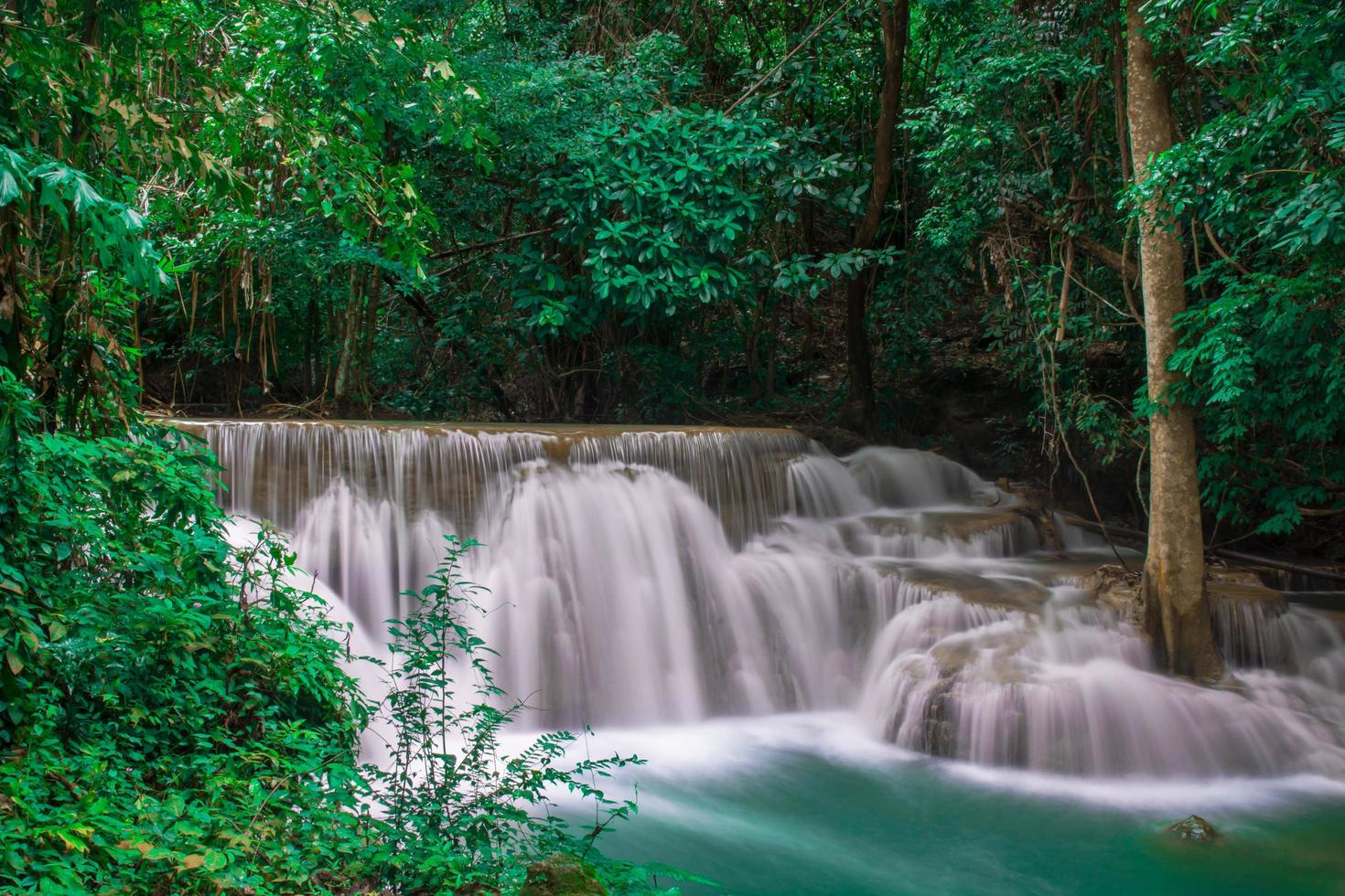 Schöner Wasserfall und grüner Waldruheplatz und Entspannungszeit foto