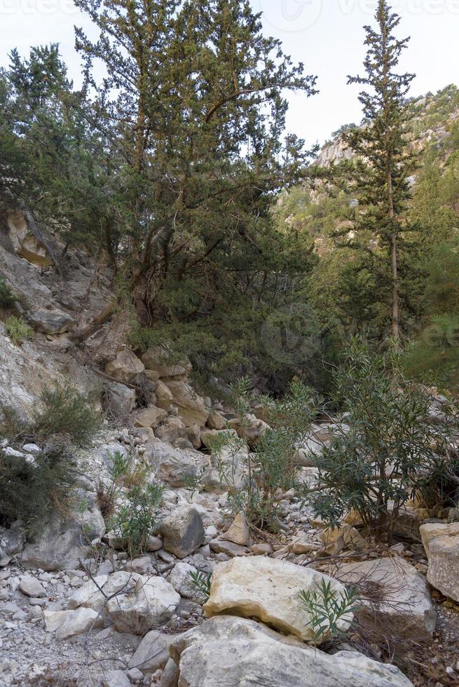 Pfad in der Avakas-Schlucht, Wandern in der Schlucht an einem Herbsttag. foto