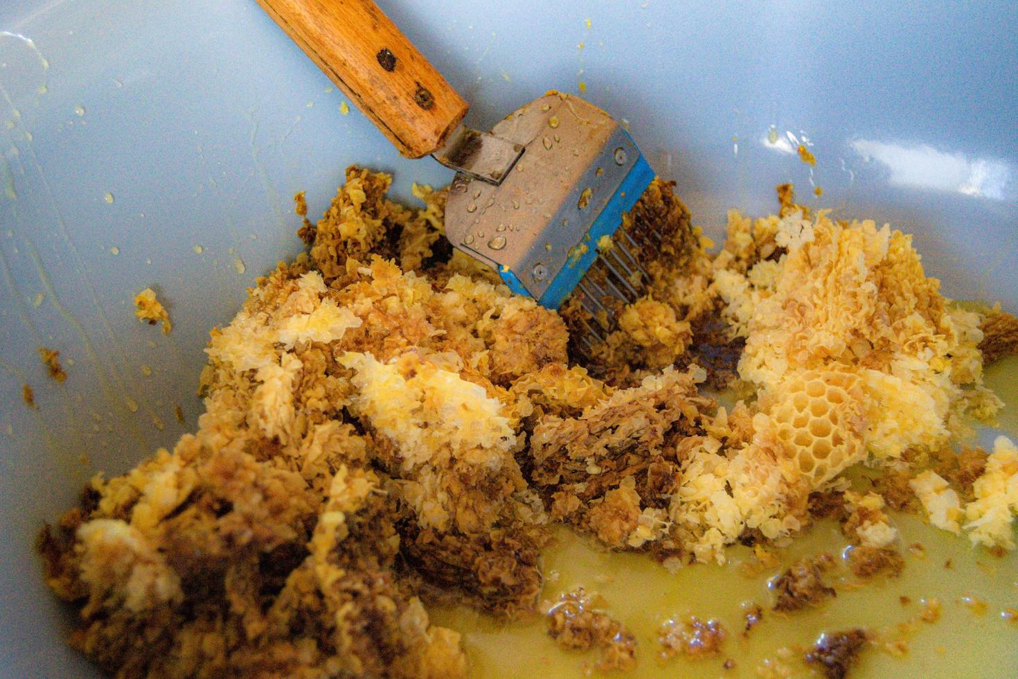 Bienenwabe aus Bienenstock gefüllt mit goldenem Honig foto