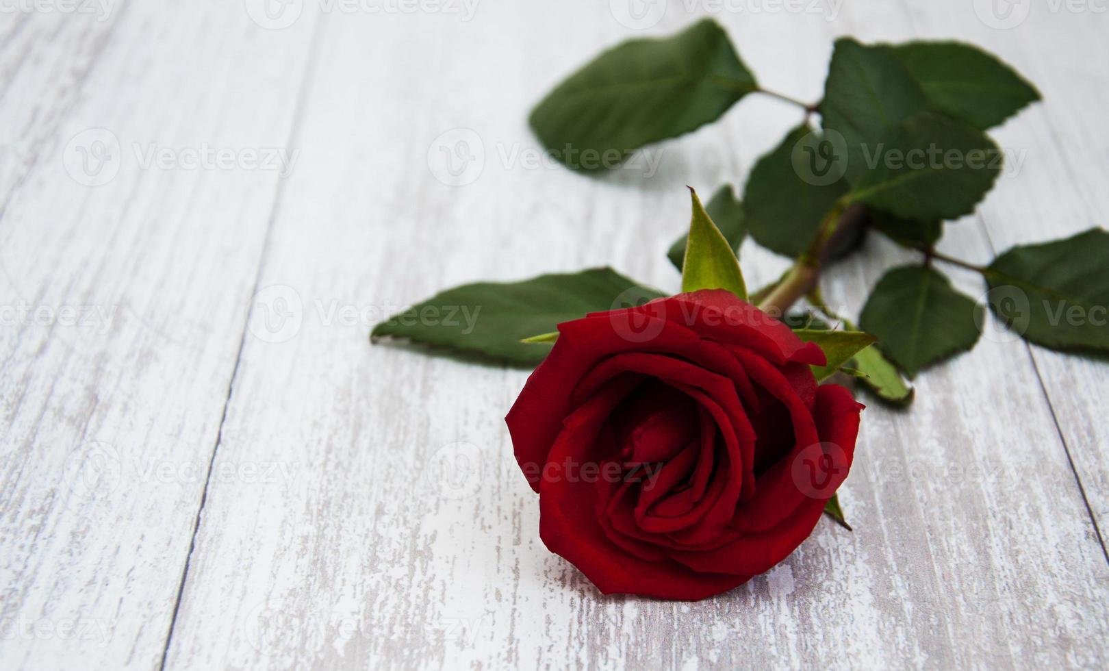 rote Rose auf einem Tisch foto