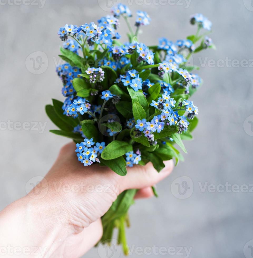 Vergiss mich nicht Blumen in der Hand foto