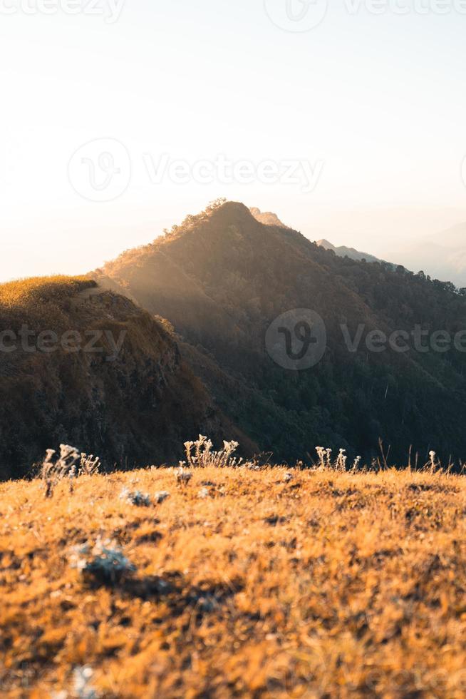 Morgenlicht und Berge, Berge im Sommermorgen und Frühlingsblumen foto