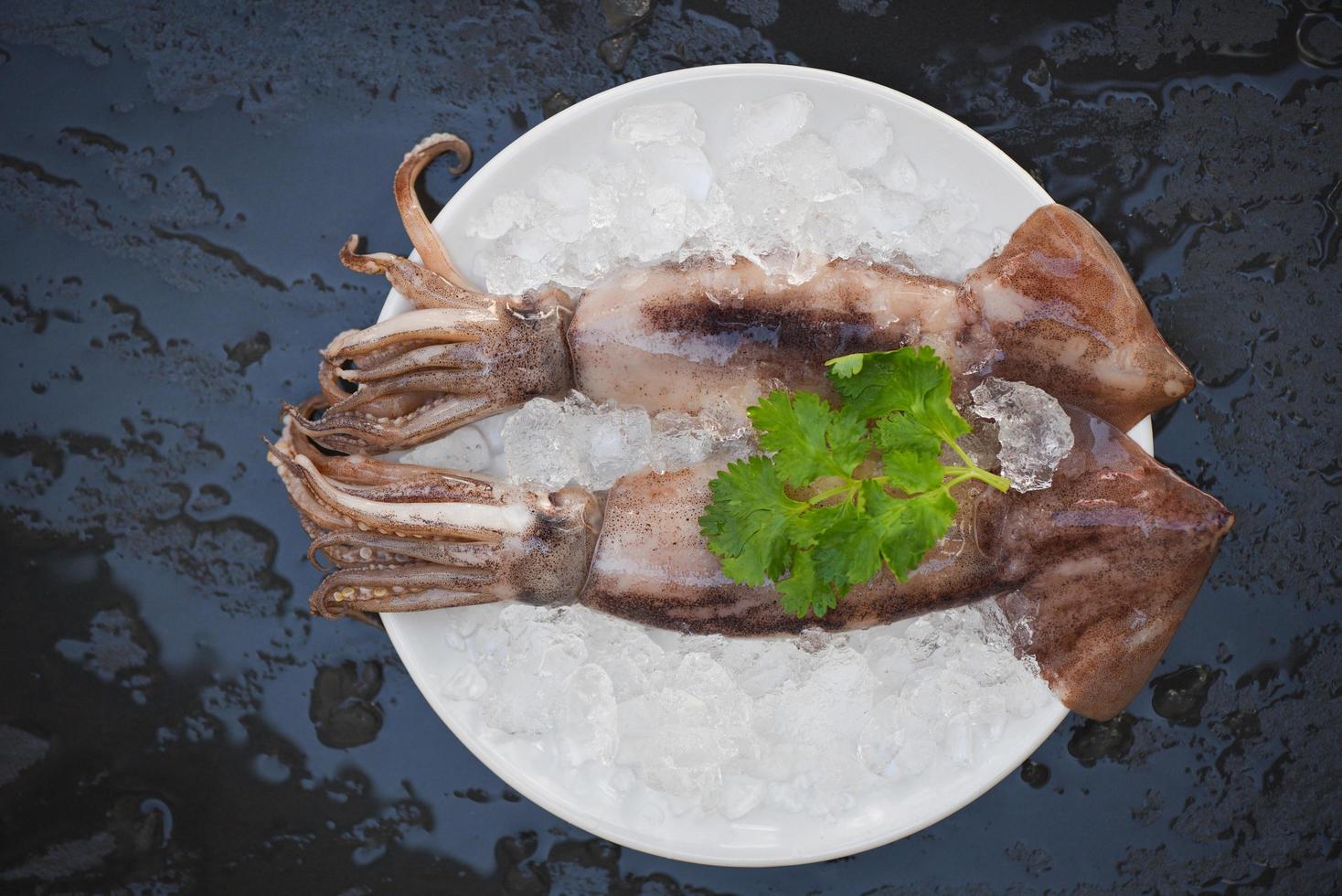 frische Tintenfische oder Tintenfische für gekochtes Essen im Restaurant oder Fischmarkt, roher Tintenfisch auf Eis mit Salatkoriander auf dem weißen Plattenhintergrund foto