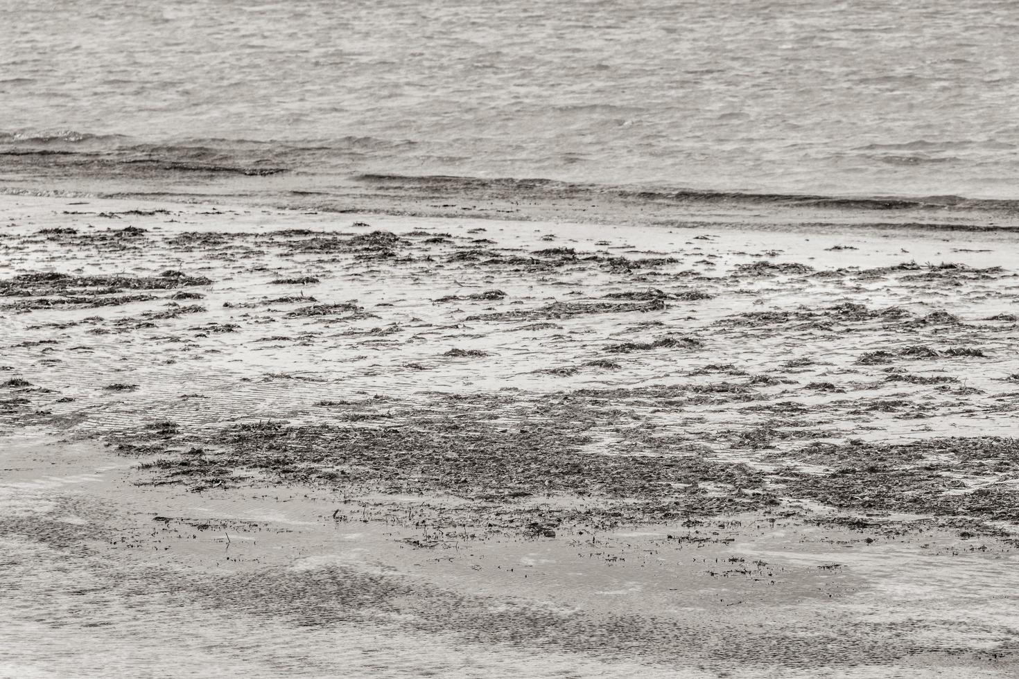 natur holbox insel strand sandbank grün türkis wasser wellen mexiko. foto