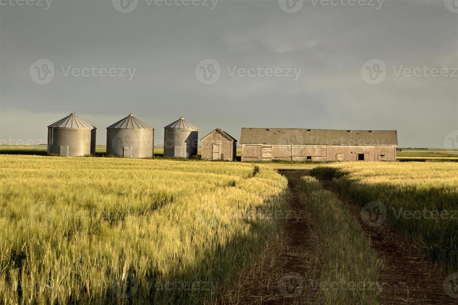 Gewitterwolken Saskatchewan foto