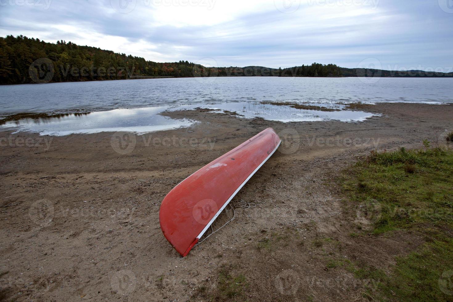 algonquin park muskoka ontario rotes kanu foto