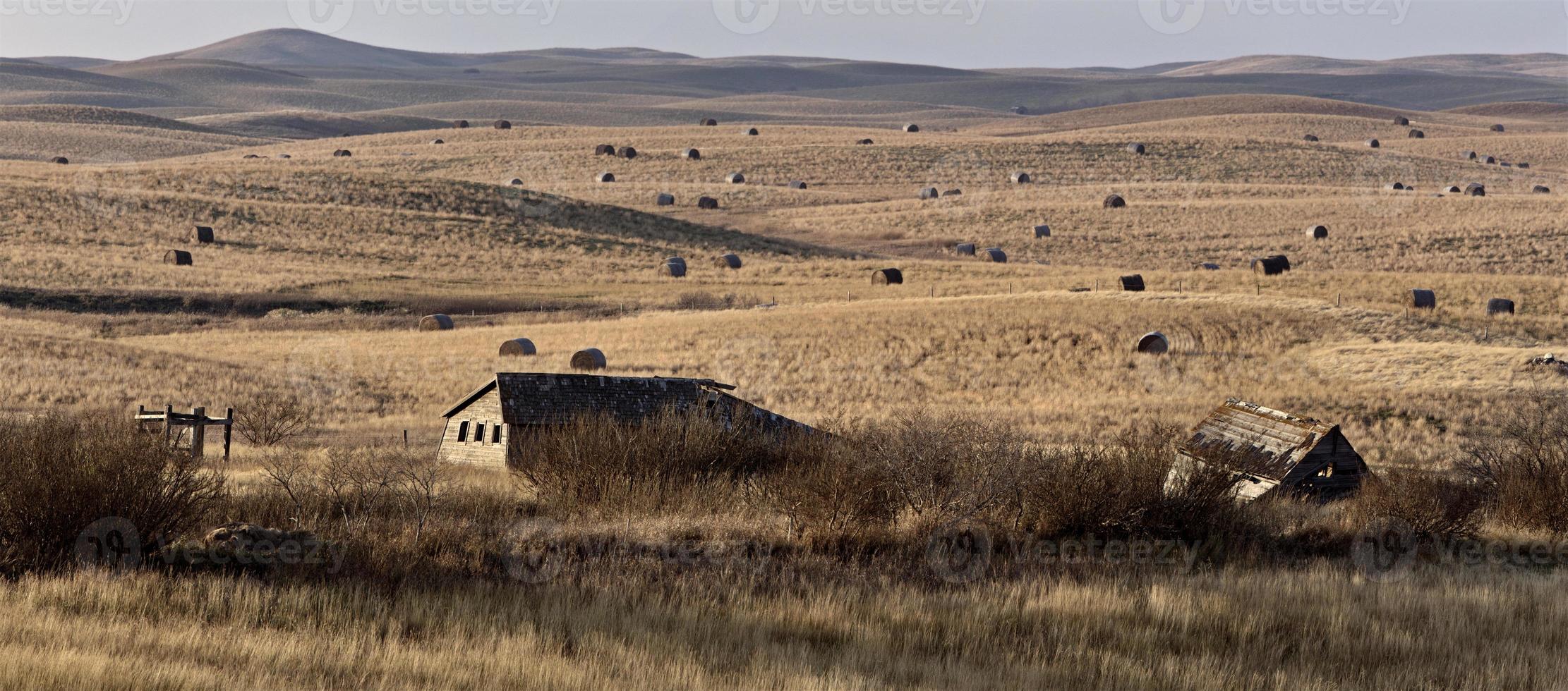 verlassene Farm Kanada foto