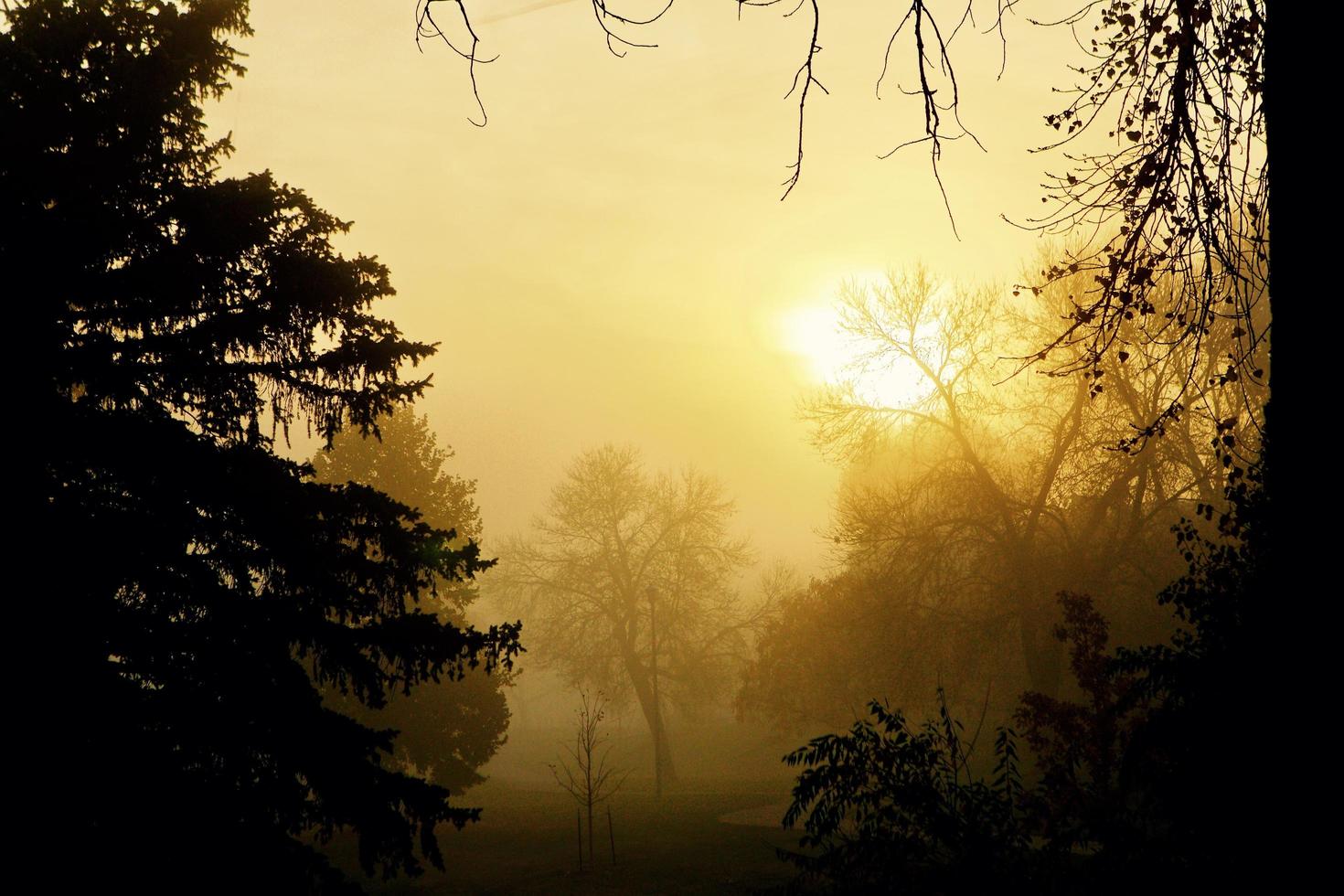 Naturlandschaften offener Raum foto