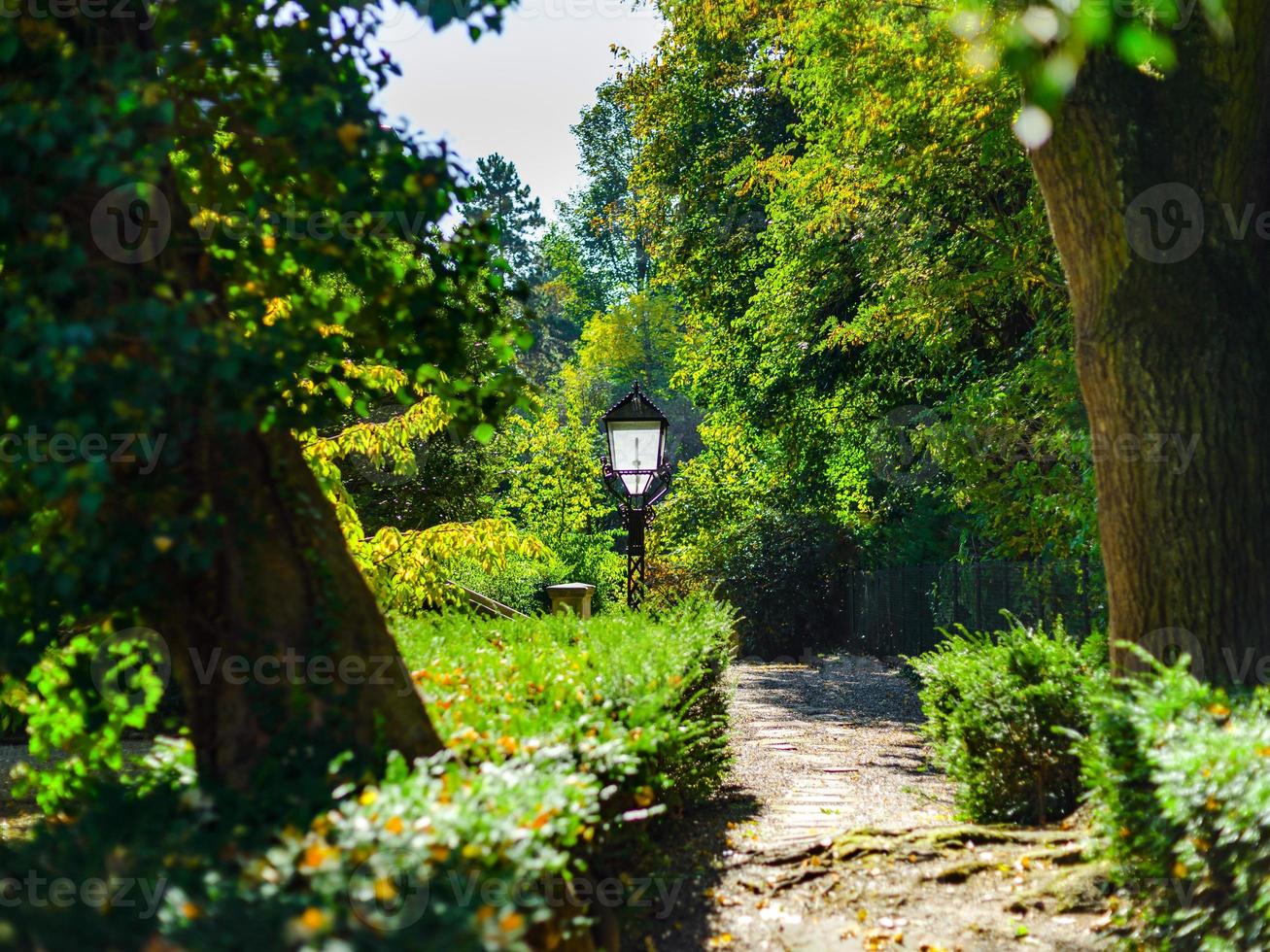 Herbst in der Stadt Straßburg, Sonnenlicht und Farben, Blick auf die Straße foto