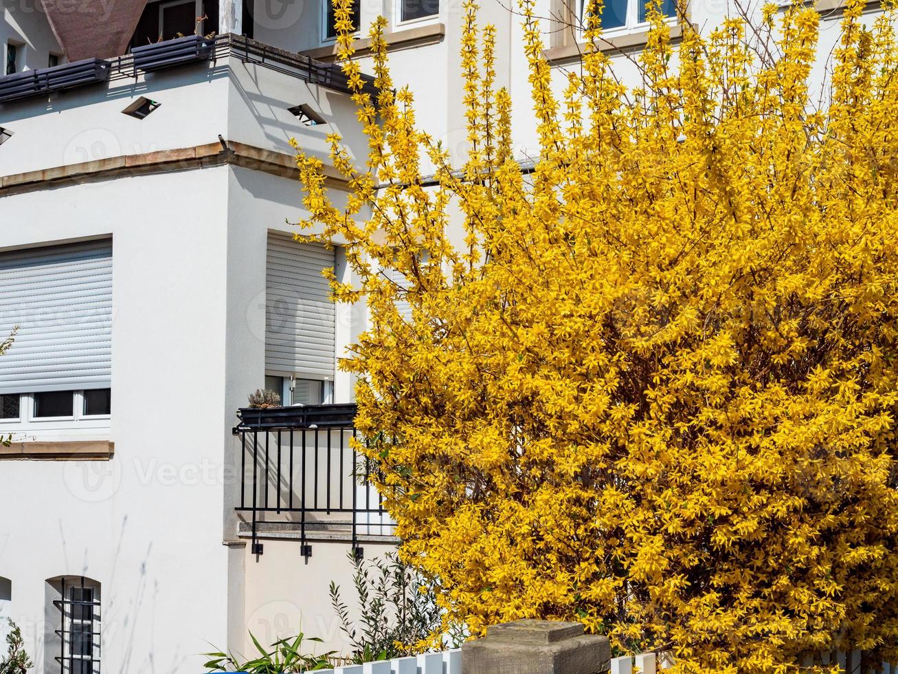 Blühende Gärten in Straßburg. schöne Stadt, viele Blumen. Frühlingsstimmung. foto