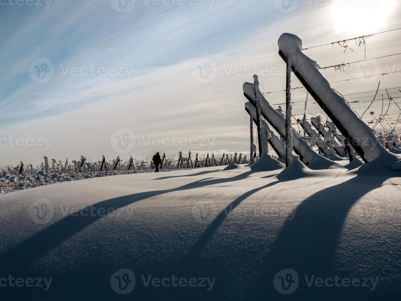 Elsässer Weinberge unter starkem Schneefall an einem sonnigen Wintertag. Details und Draufsicht. foto